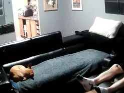 Amateur Watch Live Sex Cams of dace8312