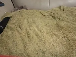 Amateur Free Porn Cam of terrassaman