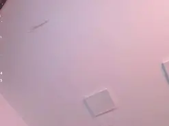 Amateur Free Porn Cam of FaloonRoussel