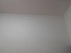 Amateur Live Sex of prince_hermosa