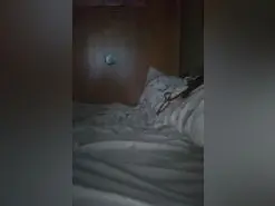 Amateur Sex Chat of Laputa2024