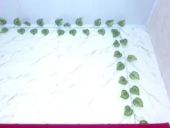 Amateur Adult Video Chat of amandacanelacm