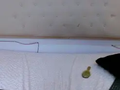 Amateur Sex Chat of Veronica_Rose