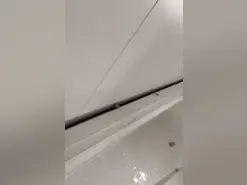 Amateur Sex Cam of ZoraidaGiroNina