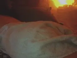 Amateur Best Webcam of Mohnblume