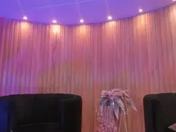 Amateur Free Porn Cam of SophieBarnett
