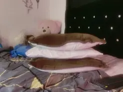 Amateur Adult Webcams of tyler_cat