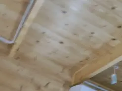 Amateur Live Porn of wild41