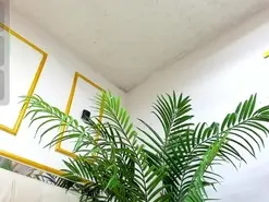 Amateur Live Sex of Celeste_cortes