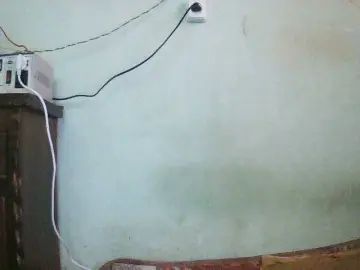 Bongacams Live Porn of TriciaBella
