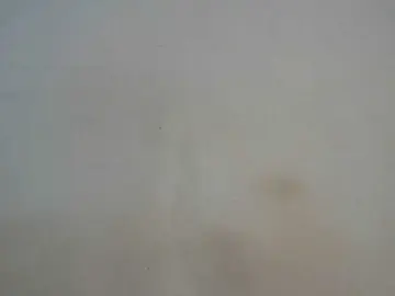 Bongacams Free Porn Cam of Sexycaramelxxx