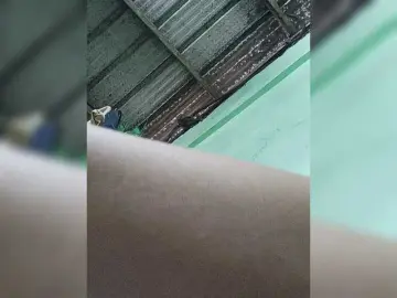 Bongacams Live Sex Cam of kimikosnowie