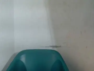 Bongacams Sex Chat of Sugarxpussy