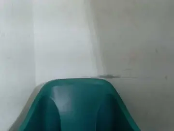 Bongacams Free Porn Cam of Sugarxpussy