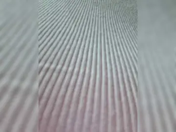Bongacams Sex Cam of AliceBraga