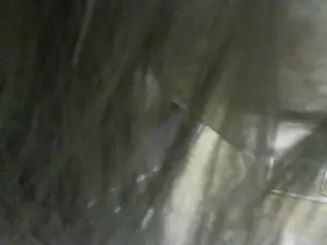 Cam4 Best Webcam of lepluscoquin02