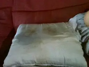 Cam4 Watch Live Sex Cams of BuenGarrote