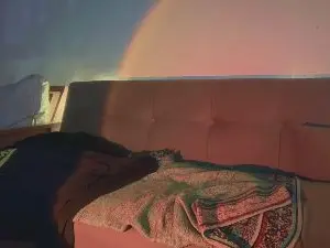 Cam4 Live Porn of wat___sapbody