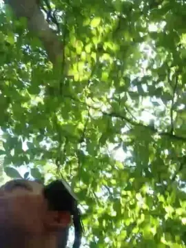 Cam4 Free Live Porn of Becquet