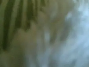 Cam4 Watch Live Sex Cams of skyskyjunior