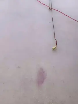Cam4 Live Sex Cam of marscat