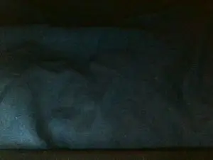 Cam4 Watch Live Sex Cams of Zonanorte777