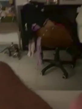 Cam4 Free Live Porn of ArabeDiscreto