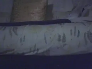 Cam4 Nude Webcam of inagi