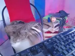 Cam4 Live Sex Cam of Vritany