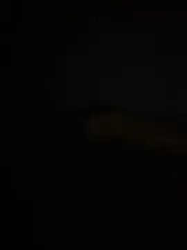 Cam4 Free Live Porn of Pedroherique199