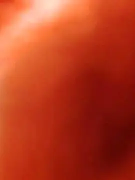 Cam4 Best Webcam of Seba2990