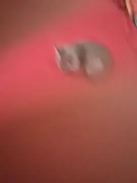 Cam4 Free Live Porn of matty2773_sexy