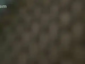 Cam4 Sex Cam of AndreGio0087