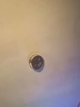 Cam4 Adult Video Chat of Cum_Daddy39
