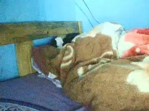 Cam4 Live Sex of Nataach29