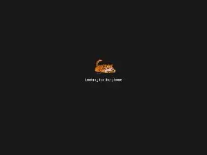 Cam4 Live Sex Cam of forfuntr