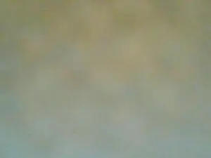 Cam4 Adult Video Chat of SvenTwinkboy