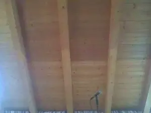 Cam4 Free Porn Cam of shaggyvery