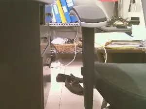Cam4 Free Porn Cam of erasmo45