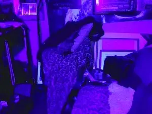 Cam4 Live Sex Cam of blindsurfer