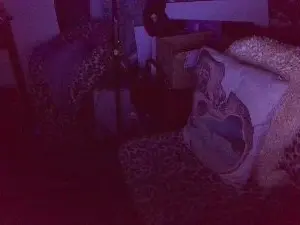 Cam4 Live Porn of blindsurfer