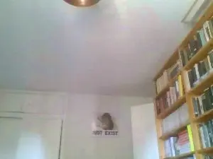 Cam4 Live Sex of wattknott