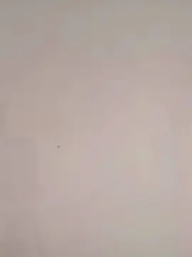 Cam4 Live Porn of ValerieBrown_