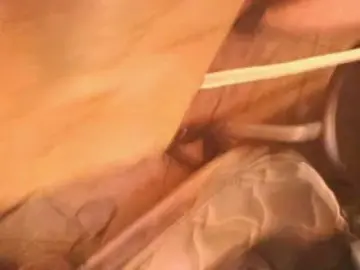 Cam4 Best live sex cam show of hugezb