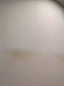 Cam4 Free Porn Cam of tonytuga