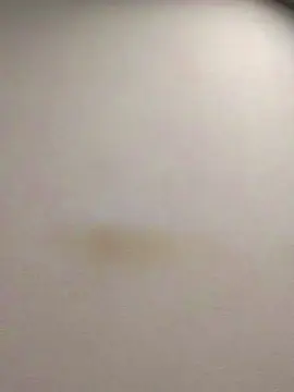 Cam4 Live Sex of tonytuga