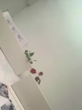 Cam4 Sex Cam of Call_me_b34uty