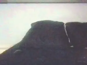 Cam4 Adult Webcam of Toulonnais83200