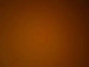 Cam4 Private Sex Chat of Jackmatt1442