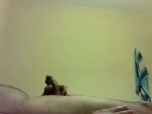 Cam4 Adult Webcam of ceste